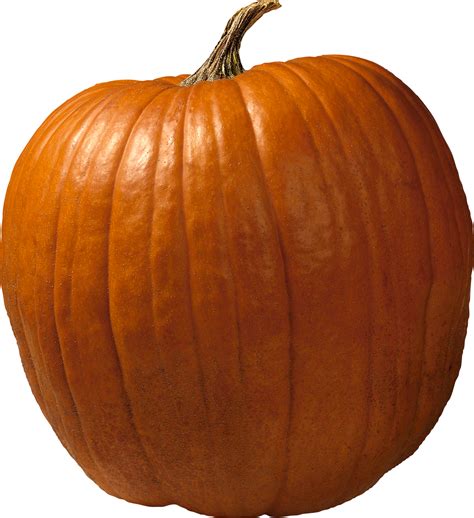 Pumpkin Png Transparent Image Download Size 1227x1343px