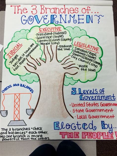 The Three Branches Of Government 3rd Grade More Third Grade Social
