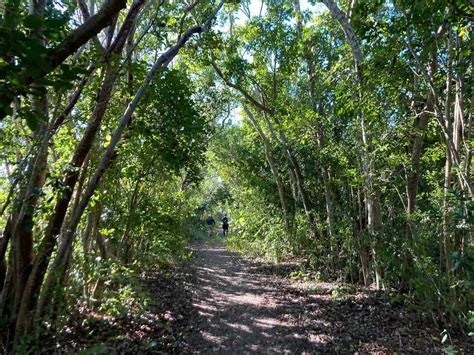 Biking In The Everglades 3 Best Bike Trails In Everglades National Park