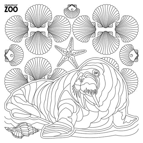 Free Coloring Pages Orangeroof Zoo A Coloring Book For