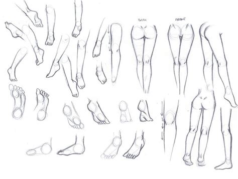 Anime Leg Drawing Image Drawing Skill