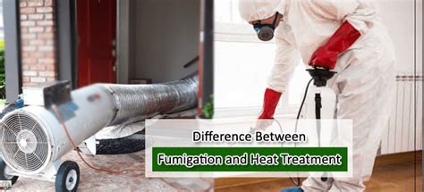 Difference Between Pest Control And Exterminator Pest Terms