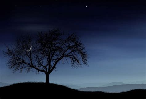 Wallpaper Tree Night Lonely Silhouette Star Moon Desktop Wallpaper