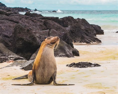 Por qué es tan importante hablar de turismo en el Ecuador y qué debemos saber sobre ello