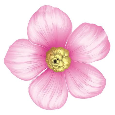 Different Of Pink Flower Pink Flower Flower Beautiful Flower Png Transparent Clipart Image