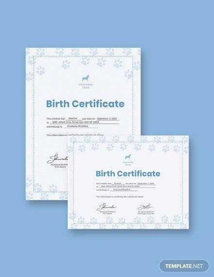 13 Pet Birth Certificate Designs And Templates Pdf Psd Ai Indesign
