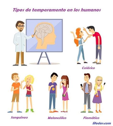 Tipos De Temperamento Do Ser Humano Imagesee