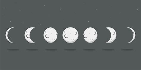 Fases Da Lua Vetor Cartoon ícones Planos De Ciclo Lunar Isolados Em Um