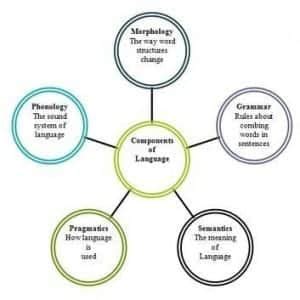 Sumbang artinya sesuatu yang janggal, sedangkan kalimat sumbang adalah kalimat yang mempunyai hal yang janggal yang tidak cocok atau tidak sesuai dengan kalimat utama atau sebelumnya. Penjelasan Macam Macam Dan Contoh Komponen Bahasa Dalam Bahasa