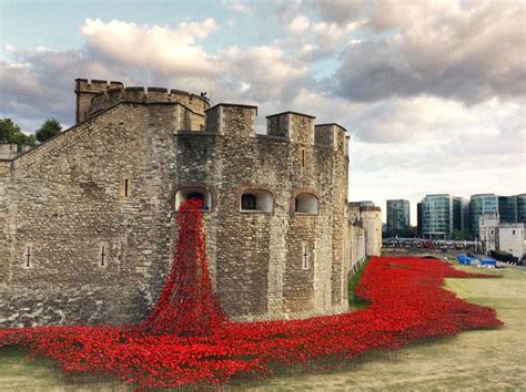 888246 Poppies Pour Like Blood From The Tower Of London