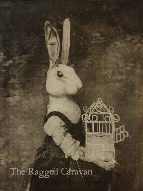 Victorian Rabbit Art Print 5x7 Gothic Art Rabbit Art Etsy