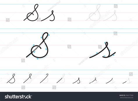 Cursive Letters Learning Write Ss Stock Vector Royalty Free 356217500