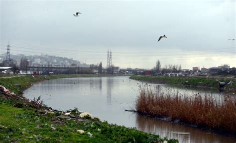 .eva gayrimenkul değerleme, kanal i̇stanbul güzergahında arsa fiyatlarının son bir yılda geometrik artış kaydettiğini belirliyor. Kanal İstanbul güzergahındaki arsa fiyatları yükselişe ...