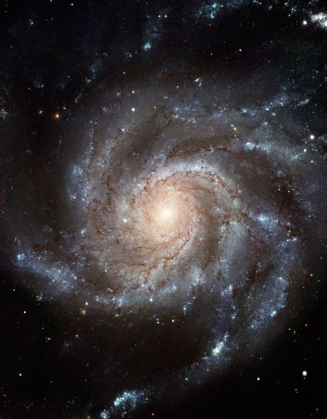 The Pinwheel Galaxy Is 170000 Light Years Across Or Nearly Twice The