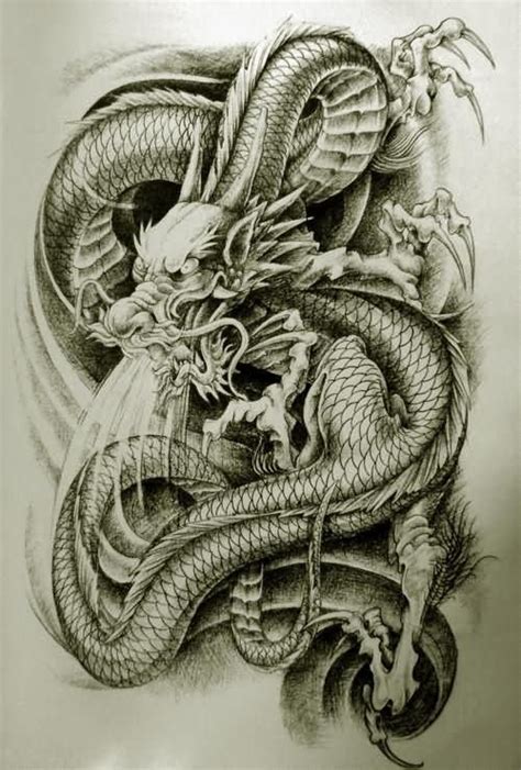 Dragon Tattoo Drawing At Getdrawings Free Download