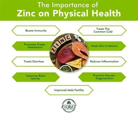 The Importance Of Zinc And Physical Health Assuaged