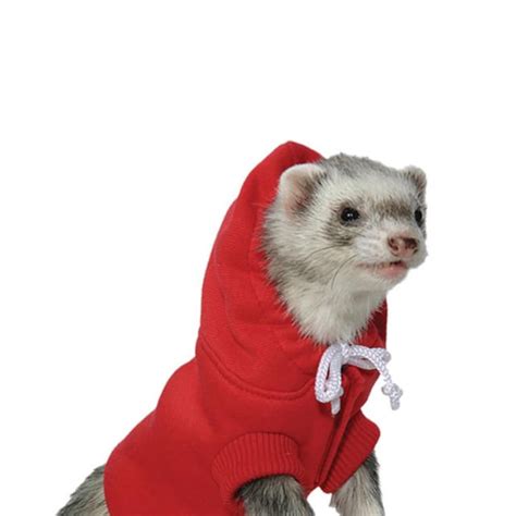 Red Ferret Hoodie Ferret Clothes Ferret Sweater Small Etsy