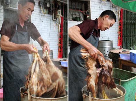 Heritage hens live about eight years. The Circle of Life (On My Plate) - Eating Chicken the ...