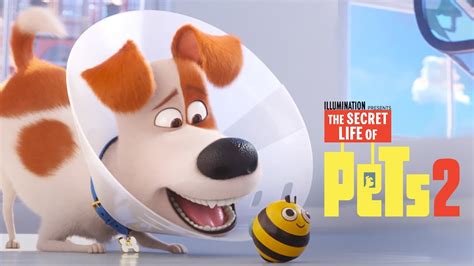 The Secret Life Of Pets 2 Movie Review And Ratings By Kids