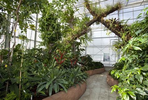 Greenhouse Exhibition Of Tropical And Subtropical Plants Slezské