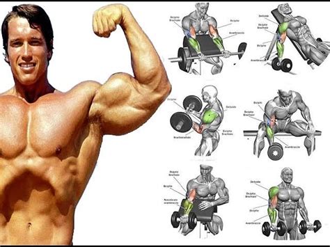 Best Biceps Workouts Bodybuilding