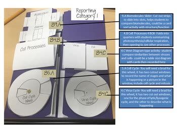 Biology staar models of dna and rna; Biology STAAR Review LapBook by Survival Teacher Guides- T and J Unruh