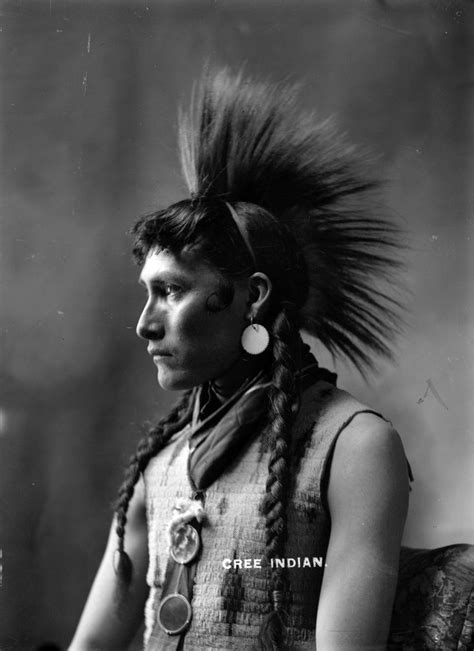 pin by bucephale007 on native american indian native american peoples native american beauty