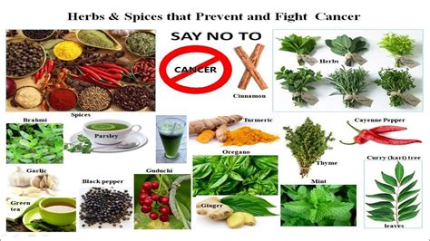 Herbs And Spices That Prevent And Fight Cancer Youtube