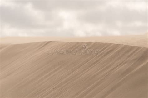 Fine Texture And Lines Of Sandy Dunes In A Desert Stock Photo Image