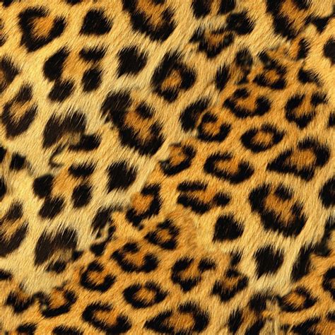 Leopard Fur Pattern