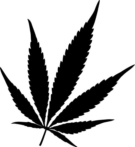 Cannabis Png Transparent Image Download Size 2000x2170px