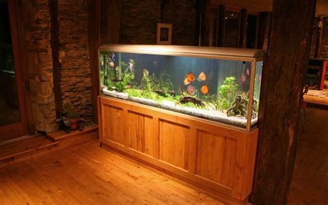 How To Choose An Aquarium Size Capacity More Zameen Blog