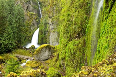 Usa Waterfalls Stones Crag Moss Wahclella Falls Columbia River