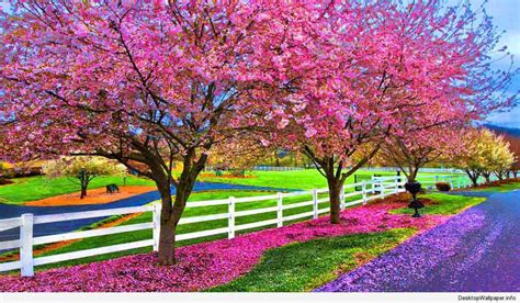 Free Download Desktop Wallpaper Spring Season Beautiful