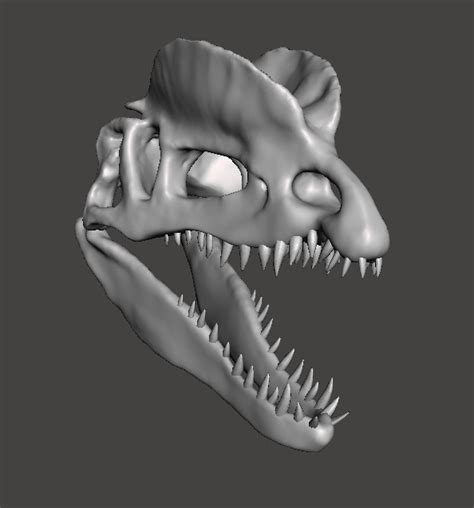 Stl File Dilophosaurus Dinosaur Skull 🦖・3d Print Design To Download・cults
