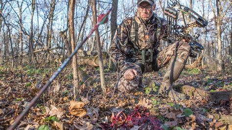 20 Blood Trailing Tips After The Shot Bowhunt 101