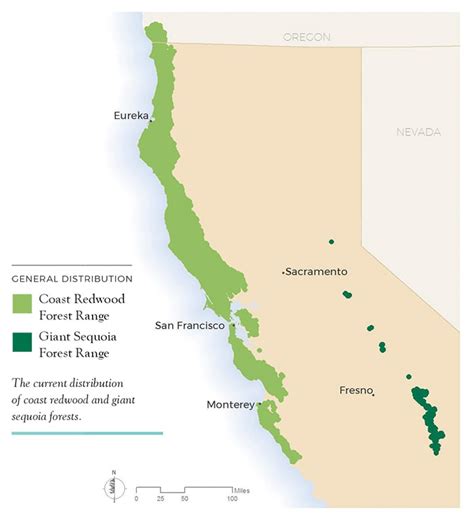 Coastal Redwoods Map