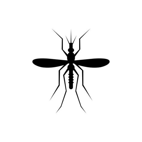 Cartoon Of The Gnat Bugs Illustrations Royalty Free Vector Graphics
