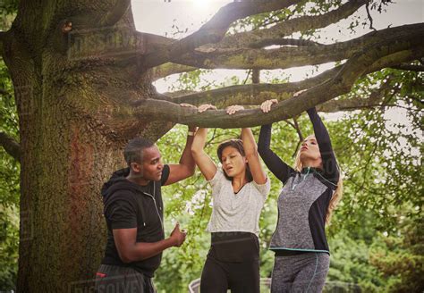 Personal Trainer Instructing Two Women On Pull Ups Using Park Tree