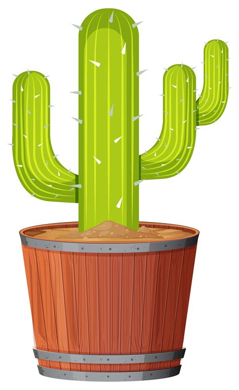 A Cactus In The Pot 648315 Vector Art At Vecteezy