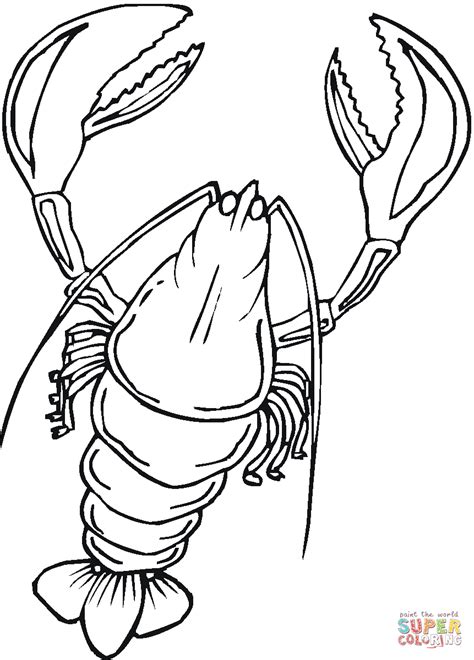 Cartoon coloring pages for boys. Lobster Coloring Pages - GetColoringPages.com