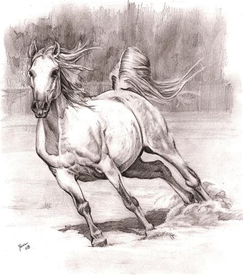 Wild Horses Drawing At Getdrawings Free Download