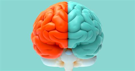 Right brain, it's essential to talk about logic and analytical thinking. Left Brain Right Brain Test - Quiz - Quizony.com