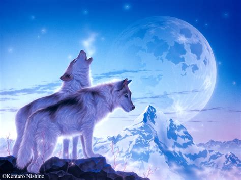 A collection of the top 58 indian and wolf wallpapers and backgrounds available for download for free. Gallery Wolves1 - Art of Kentaro Nishino