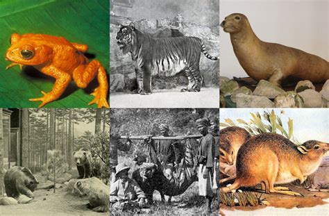 Types Of Extinct Animals