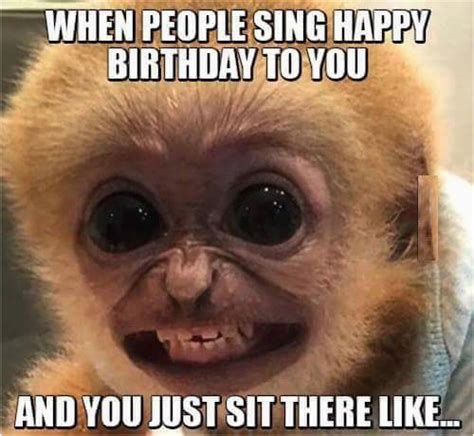 Funny Clean Birthday Memes You Look Like A Monkey Birthday Humor Humor