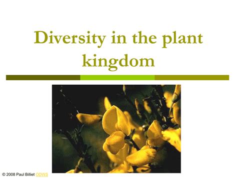 Powerpoint Presentation Plant Diversity