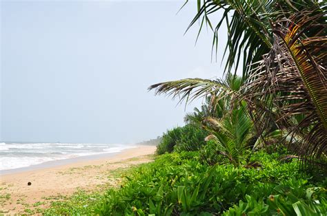 Explore The Bentota Beach Well Known Places