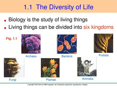 Ppt 11 The Diversity Of Life Powerpoint Presentation Free Download