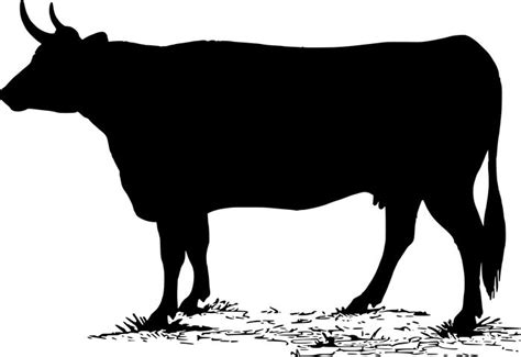 Free Image On Pixabay Cow Silhouette Animals Farm Free